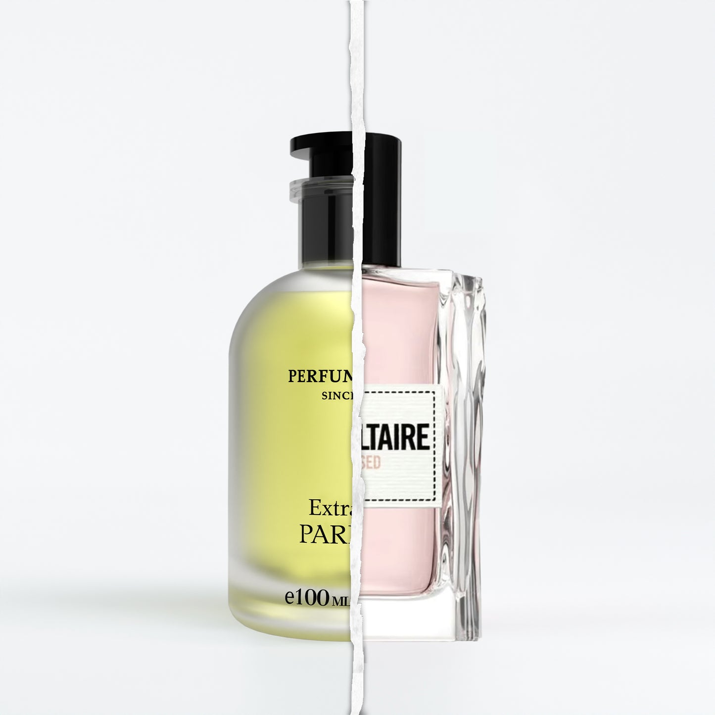 This Is Her! Undressed Zadig & Voltaire