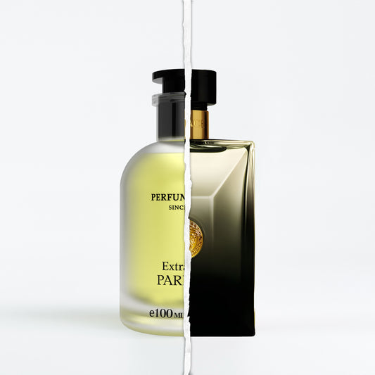 Oud Noir by Versace