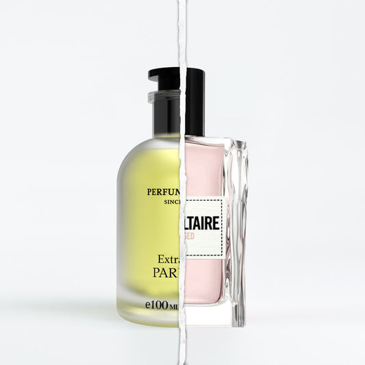This Is Her! Undressed Zadig & Voltaire